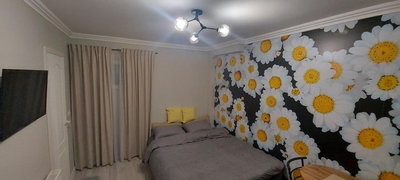 Apartman Studio Dado Užice Exteriér fotografie